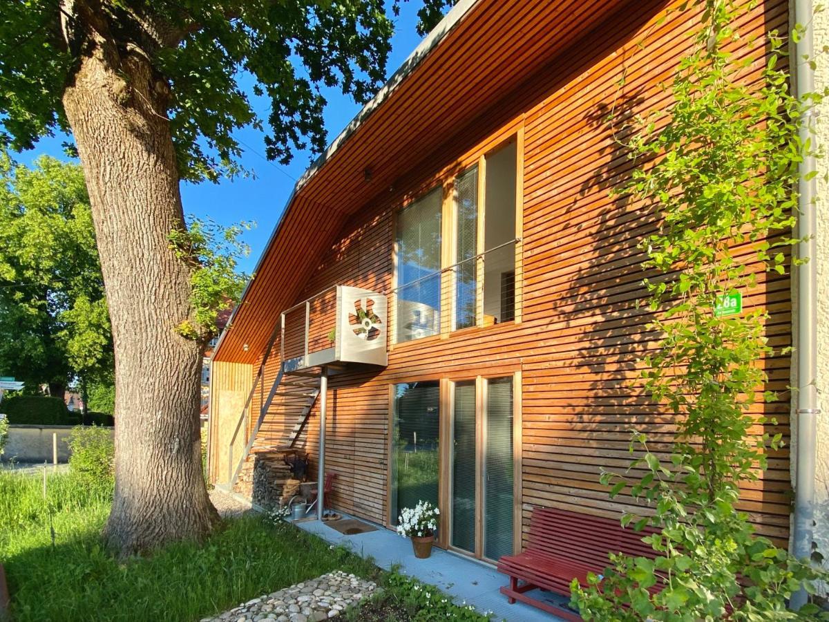 Appartement Loft Mit Dachterrasse à Bernau am Chiemsee Extérieur photo